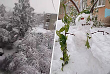 Аномальный майский снегопад накрыл Екатеринбург