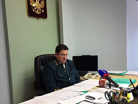 Жителям Тамбовской области предлагают поучаствовать в высадке лесов