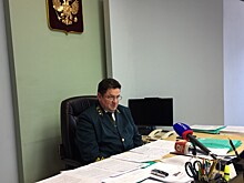 Жителям Тамбовской области предлагают поучаствовать в высадке лесов