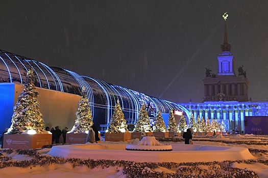 Собянин пригласил всех на тематическую программу "Новый год в Москве", которая началась на выставке-форуме "Россия"