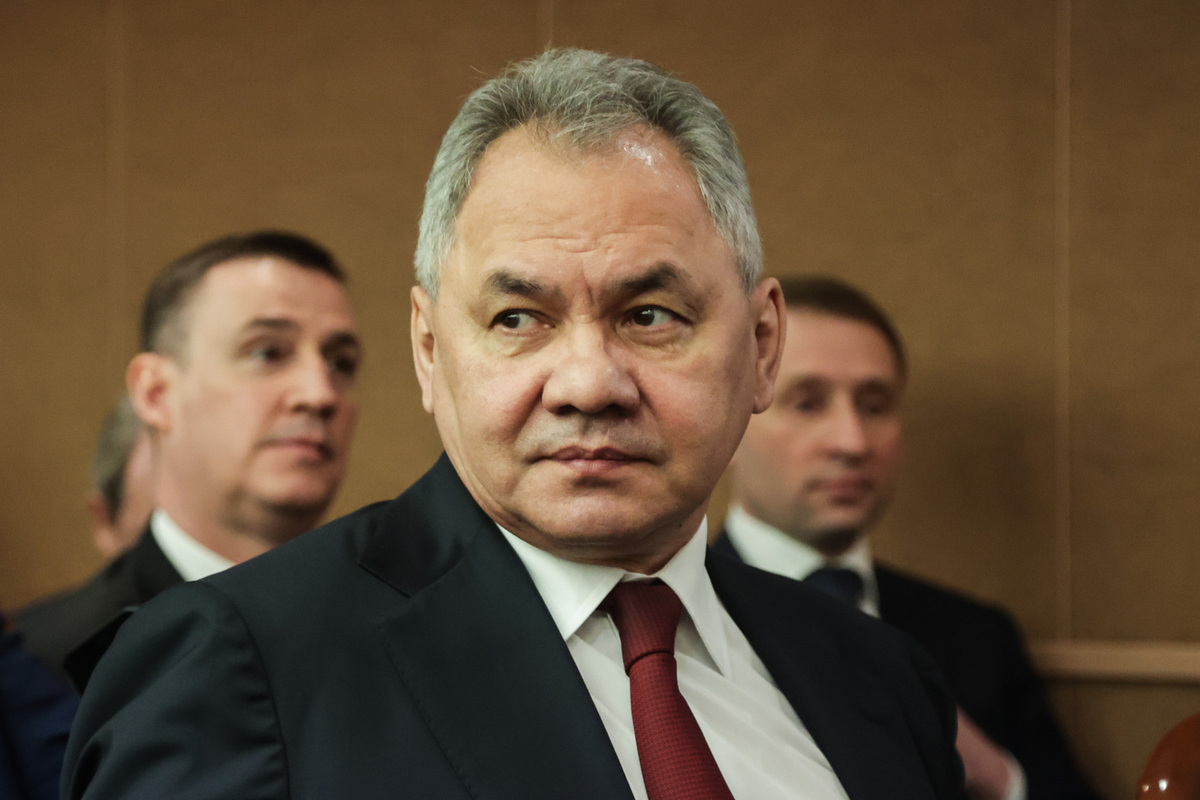Шойгу выразил сожаление, что Армения ищет защиту у источника угроз