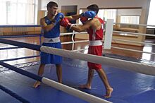 22 июля в центре Краснодара пройдет открытая тренировка по боксу