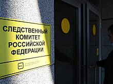 СК рассказал о тревожных направлениях в подростковой преступности в России
