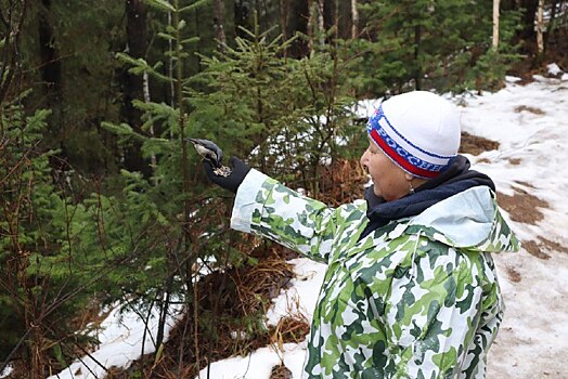 На Таганае открыли 22 столовые для пернатых