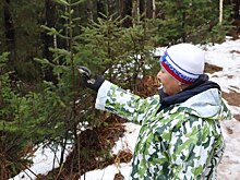 На Таганае открыли 22 столовые для пернатых