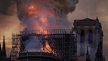 Погиб куратор восстановления собора Парижской Богоматери