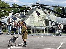 В г.о. Красногорск в День Победы показали кинологическое шоу