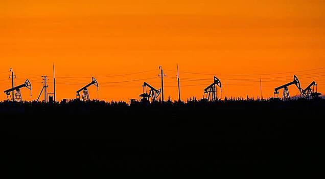 Песков оценил роль ОПЕК+ в удержании цен на нефть