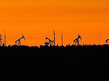 Песков оценил роль ОПЕК+ в удержании цен на нефть