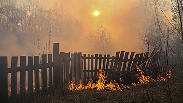В Приангарье площадь лесных пожаров увеличилась вдвое