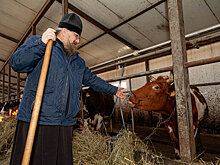 Как мордовский священник организовал "колхоз" в умирающей деревне