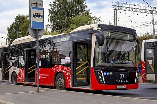 В Перми с 1 ноября заметно подешевеют проездные для школьников