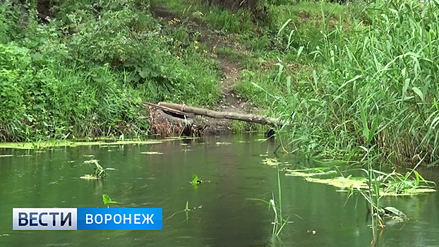 Жители Калача остались недовольны расчисткой реки Подгорной