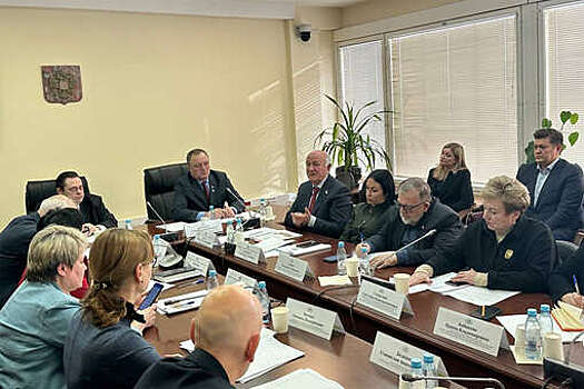 Комитет по делам национальностей разработает закон "О российском казачестве"