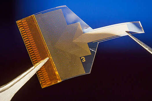 NatNano: имплант из гибких полимеров и графена фиксирует глубинные сигналы мозга