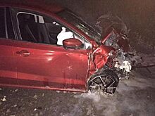 Два человека погибли в ДТП в Удмуртии 31 августа