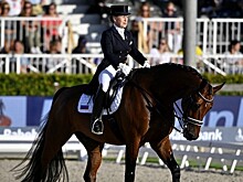 Российская всадница продала лошадь, с которой отобралась на Олимпиаду-2020