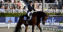 Российская всадница продала лошадь, с которой отобралась на Олимпиаду-2020