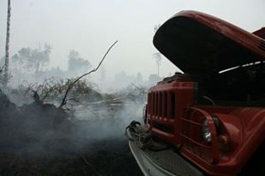 Тревожные сводки. 10 пожаров потушили за лето в костромских лесах