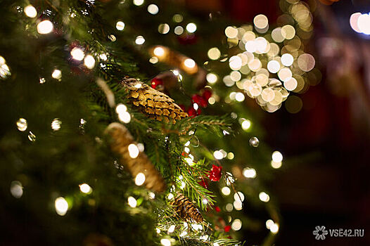 Гирлянды на авто: кузбассовцев предупреждают об ответственности