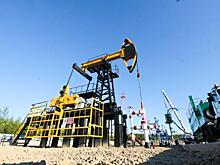 Две трети компаний в «тюменской матрешке» получили прибыль в 2023 году