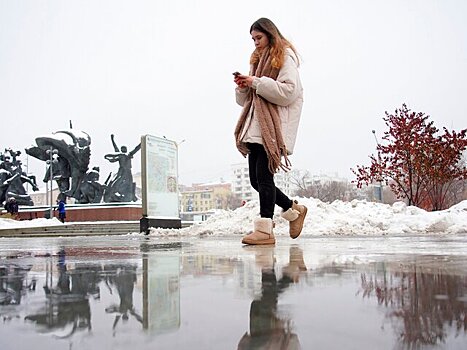Высота снежного покрова в Москве уменьшилась в четыре раза