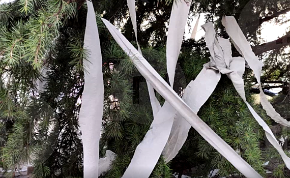 Ель в Крыму украсили туалетной бумагой к Новому году