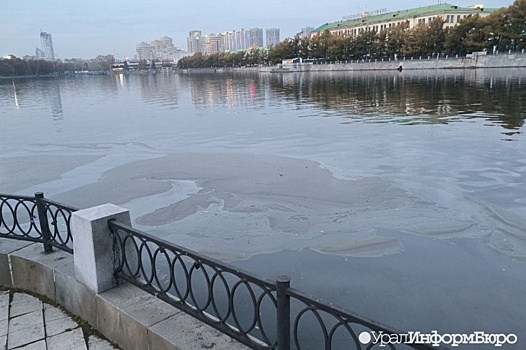 Екатеринбуржцы заметили подозрительное пятно на Городском пруду