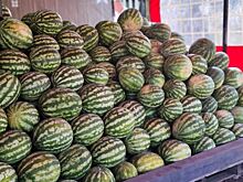 Стоимость арбузов в Тюменской области выросла на 36%