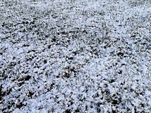 Маленькая девочка босиком в пижаме бросилась вслед за жестко мобилизованным ТЦК отцом