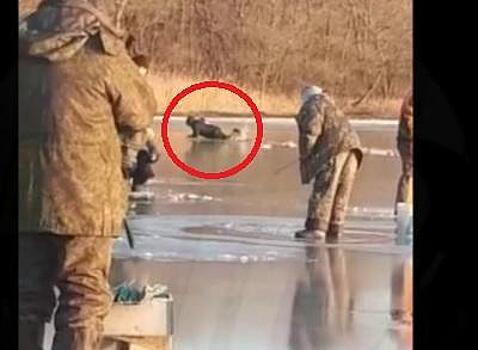 Просто так приморцы больше не порыбачат