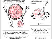 Новогодние цены: какие продукты подорожают к праздникам
