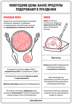 Новогодние цены: какие продукты подорожают к праздникам