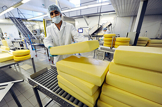 Итальянцы планируют открыть в Калмыкии производство сыров