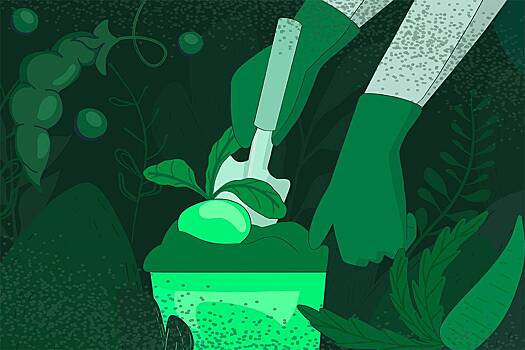 «Это незабываемый опыт» Россияне решили отказаться от химикатов на огородах и в садах. Как натуральные продукты изменили их жизнь?