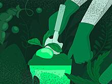 «Это незабываемый опыт» Россияне решили отказаться от химикатов на огородах и в садах. Как натуральные продукты изменили их жизнь?