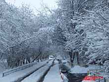 На западе Красноярского края выпал обильный снег