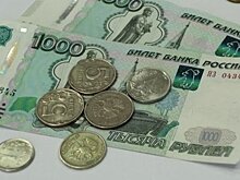 В Татарстане неналоговые доходы от использования госимущества и земельных участков составили 24,5 млн рублей