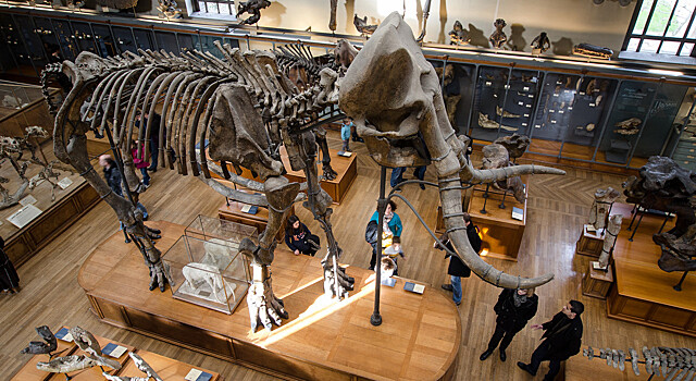 В Ясеневе ученики провели экскурсии в Палеонтологическом музее