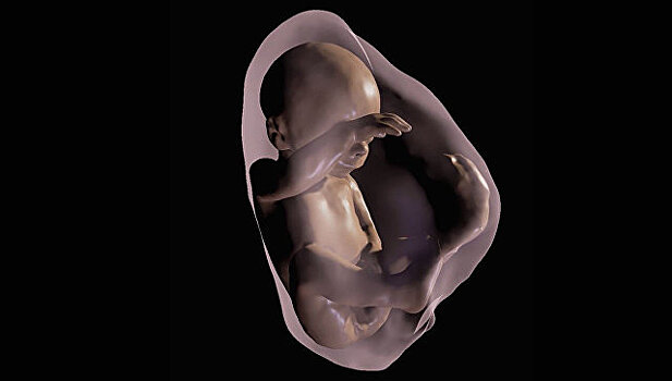 Ученые помогут матерям увидеть 3D-фото ребенка еще до его рождения