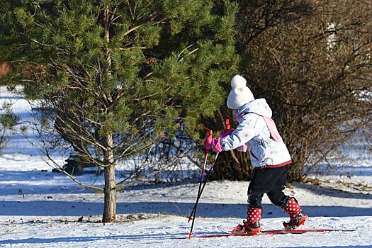 Мэр Москвы поручил подготовить к открытию катки и лыжные трассы