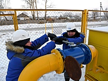 Георгий Бовт: Программа "соцгазификации" хорошая и правильная, но есть что "подчистить"