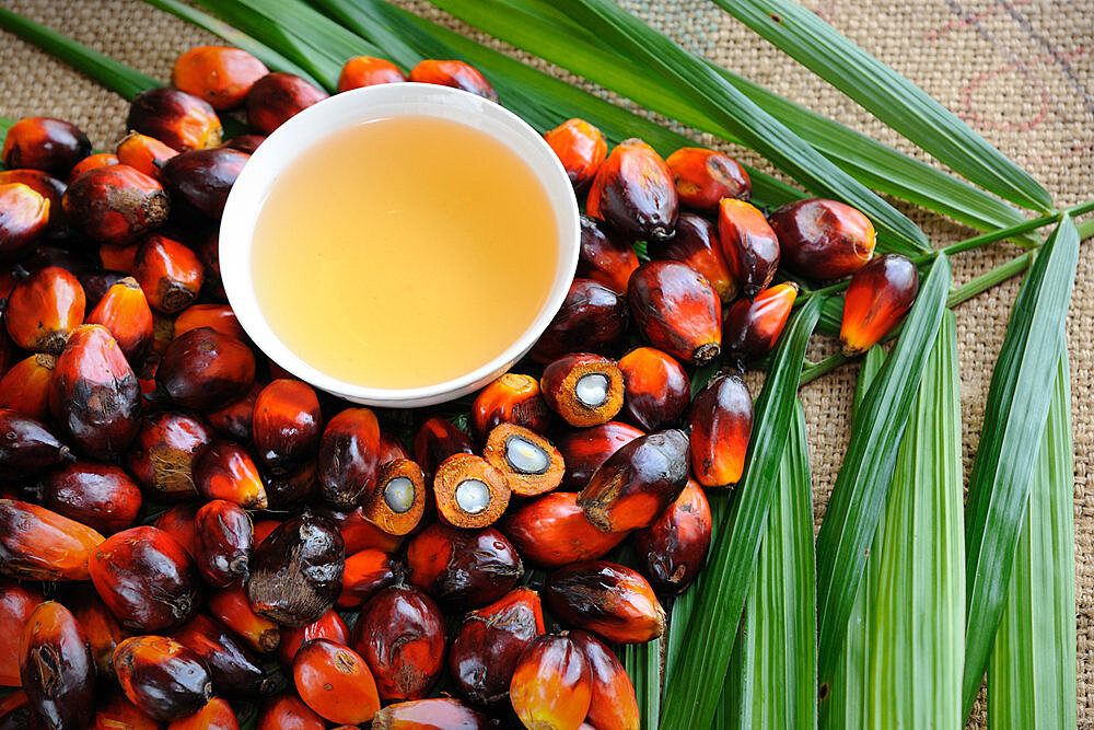 Почему вырос импорт пальмового масла в Россию