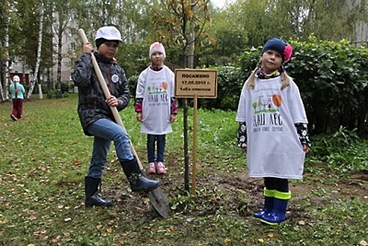 В Клинском районе подготовили 20 площадок к акции «Наш Лес. Посади Свое Дерево»