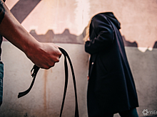 "Воспитывал ремнем": мужчина полгода избивал дочь-младшеклассницу под Новосибирском