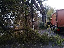 В Челябинске мусоровоз «прихватил» с собой дерево