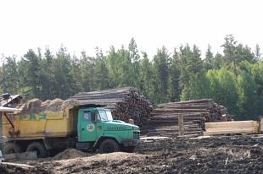 На Алтае сократился объем экспорта лесоматериалов