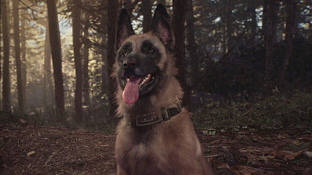 Blair Witch, Shenmue и другие в Humble-наборе You Can Pet The Dog