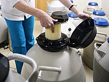 В Госдуме отреагировали на идею о квоте на заморозку сперматозоидов для солдат