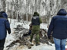 В Красноярском крае нашли тело ребенка, пропавшего в сентябре 2020 года